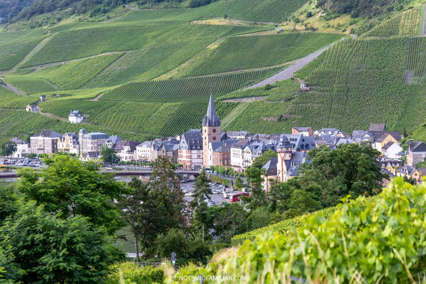 Moselle Valley Vineyards